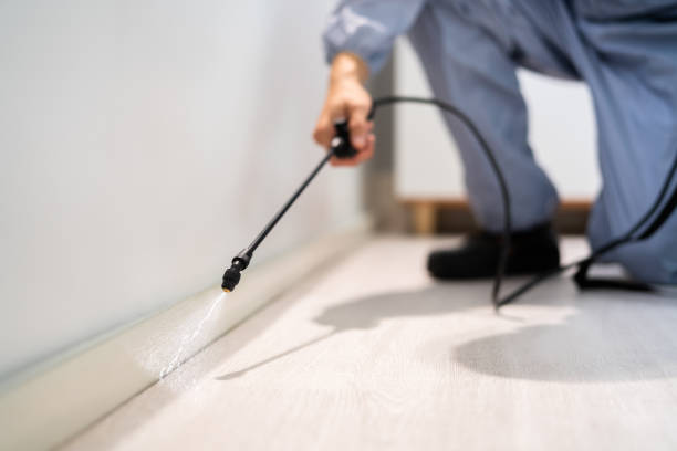 Certified termite inspector examining foundation in Corsicana