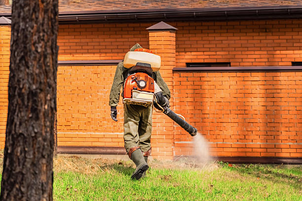 Bed Bug Clearance Verification and Documentation in Corsicana